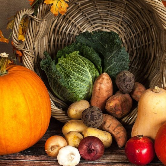 alimentazione autunno