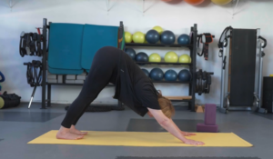 Adho Mukha Svanasana